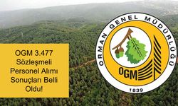 OGM İŞÇİ ALIMI SONUÇ HABERLERİ SON DAKİKA 2025: OGM 3.477 Sözleşmeli Personel Alımı Sonuçları Belli Oldu! Kazananlar Listesi ve Sorgulama Sayfası Yayınlandı