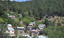 Osmaniye’de 5 Aylık Orman Yasağı Başladı: 1 Haziran-31 Ekim Arasında Ormanlara Giriş ve Piknik Yasaklandı