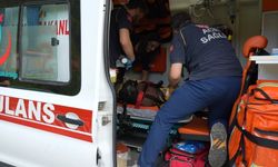 Kocaeli'de Dereye Düşen Oğlunu Kurtarmak İsteyen Anne Hayatını Kaybetti: Başiskele'de Yaşanan Acı Olayda İki Kardeş de Yaralandı