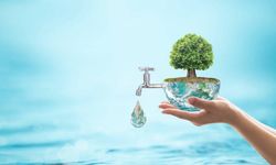 Yaşamın Kaynağı Suyu Kaybetmeden: Geleceğe Mirası Koruma Rehberi