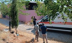 Adıyaman Gerger'de Aile İçinde Kan Döküldü: 65 Yaşındaki Ahmet Dolaş Eşi Leyla Dolaş'ı Silahla Vurarak Hayatına Son Verdi
