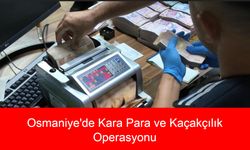Osmaniye'de Kara Para ve Kaçakçılık Operasyonu: 70 Milyon TL'lik Varlık, Altın, Araç ve Nakitle Yakalanan Şüpheliler Adliyeye Sevk Edildi