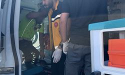 Polis Aracına Arkadan Çarpan Kamyonet Adıyaman’da Kazaya Neden Oldu, 2 Trafik Polisi Yaralı, Bulvarda Uzun Araç Kuyrukları Oluştu