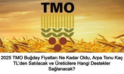 2025 TMO Buğday Fiyatları Ne Kadar Oldu, Arpa Tonu Kaç TL’den Satılacak ve Üreticilere Hangi Destekler Sağlanacak?