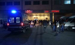 Cezaevinden Tahliye Edildi, Eşini Katletti: Malatya’da 36 Yaşındaki Eylem Yeşilkaya Evinde Bıçaklanarak Hayatını Kaybetti