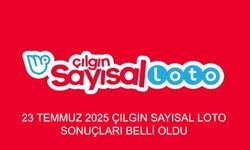 Son Dakika! 23 Temmuz Çılgın Sayısal Loto Sonuçları Açıklandı: Kazanan Numaralar ve Bilet Sorgulama