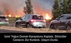 İzmir Aliağa’da Otluk Yangını Kabusa Döndü: Yoğun Duman Karayolunu Kapladı, Sürücüler Canlarını Zor Kurtardı, Ulaşım Durdu