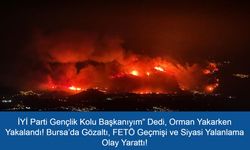 İYİ Parti Gençlik Kolu Başkanıyım” Dedi, Orman Yakarken Yakalandı! Bursa’da Gözaltı, FETÖ Geçmişi ve Siyasi Yalanlama Olay Yarattı!
