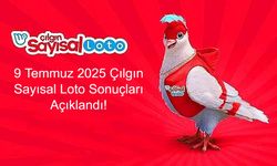 SON DAKİKA ÇILGIN SAYISAL LOTO: 9 Temmuz 2025 Çılgın Sayısal Loto Sonuçları Açıklandı! Kazandıran Numaralar, Süperstar ve Joker Detayları