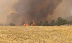 Denizli Çal’da Korkutan Yangınına  Havadan ve Karadan,1 Uçak, 2 Helikopter ve 106 Personel Seferber Oldu