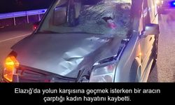 Elazığ-Bingöl Karayolunda Feci Kaza: Yolun Karşısına Geçmek İsteyen Kadın Hayatını Kaybetti