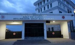 Diyarbakır Dicle’de Yürek Burkan Olay: Kız Kardeşinin Ölümüne Neden Olduğu İddia Edilen 16 Yaşındaki Ağabey Tutuklandı