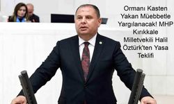 Ormanı Kasten Yakan Müebbetle Yargılanacak! MHP’nin Hazırladığı Yasa Teklifi Yangın Suçlarına Devrim Getiriyor