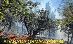 Son Dakika: Adana Feke’de Orman Yangını! Havadan ve Karadan Mücadele Devam Ediyor