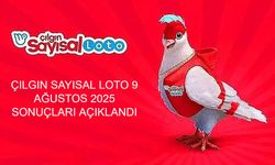 9 Ağustos Cumartesi Çılgın Sayısal Loto Çekilişi Yapıldı: Kazandıran Numaralar Hangileri?