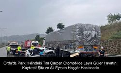 Leyla Güler Hayatını Kaybetti! Ordu'da Park Halindeki Tıra Çarpan Otomobilde Aile Dramı: Şifa ve Ali Eymen Hoşgör Hastanede