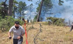 Bolu ve Çanakkale’de Aynı Anda Çıkan Orman Yangınlarına Havadan Helikopter, Karadan Arazöz ve İtfaiye Ekipleriyle Yoğun Müdahale Devam Ediyor