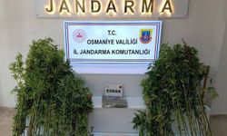 Osmaniye’de Suç Çetelerine Büyük Darbe: 121 Şüpheli Yakalandı, Silahlar ve Yasaklı Maddeler Ele Geçirildi