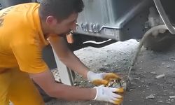 Osmaniye Karaçay'da Çıkan Yangında Kurtarılan Kaplumbağa, Ekiplerin Merhamet Dolu Dokunuşuyla Yeniden Hayata Tutundu