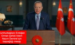 Cumhurbaşkanı Erdoğan'dan Orman Şehidi Adem Nazım Demirel için başsağlığı mesajı