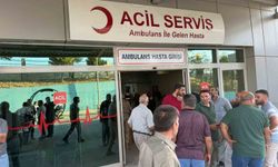 Şanlıurfa Birecik’te Aile İçi Arazi Kavgası Kanlı Bitti: Amca Murat Seçme ve Yeğen Mehmet Güllü Seçme Hayatını Kaybetti