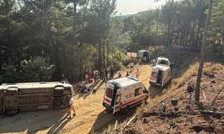 Kazdağı’nda Tur Minibüsü Faciası! Edremit’te 11 Kişi Yaralandı, Bölgeye Çok Sayıda Ambulans Sevk Edildi