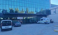 Aydın Didim açıklarında göçmen faciası: Anne ve 3 yaşındaki çocuğu hayatını kaybetti