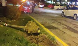 Yolun Kenarında Yürürken Canından Oldu! Eskişehir’de Alkollü Sürücü 3 Yayayı Ezdi – 1 Ölü, 2 Yaralı