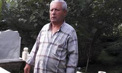 Giresun’da Şok Kaza! Turan Fison Uçurumdan Düştü, Hayatını Kaybetti