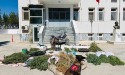 Birecik'te Jandarma Operasyonu: 850 Kilogram Esrar, Ruhsatsız Silahlar, Kenevir Tarlası ve Çalıntı Motosiklet Ele Geçirildi