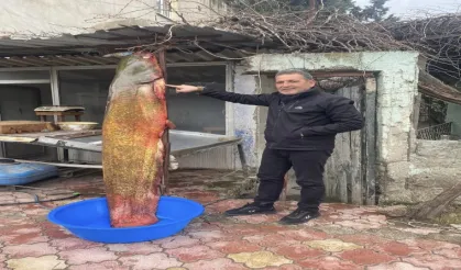 Osmaniye'li balıkçıya 37 bin TL'lik yayın balığı piyangosu