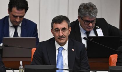 AK Parti Karar Aldı! Yeni Cumhurbaşkanı Yardımcısı Atanıyor: İşte Görev Alacağı Sorumluluk Alanı