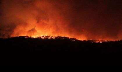 Karabük ormanları 7 saattir alevlerle boğuşuyor rüzgarın etkisiyle büyüyen yangın geceyi gündüze çevirdi