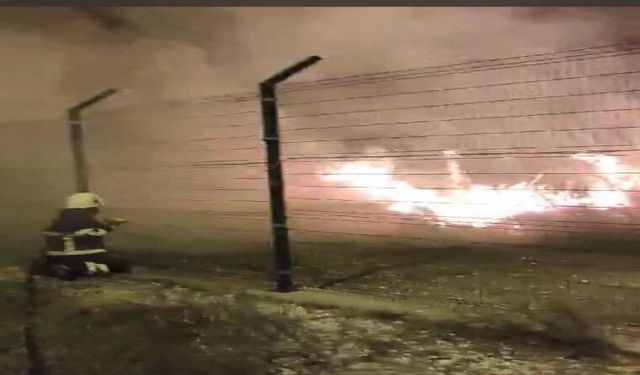 Erzin’de sazlık alanda çıkan yangını itfaiye ekipleri söndürdü