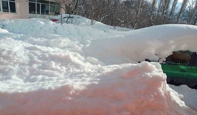 Posof’ta karla mücadele çalışmaları sürüyor