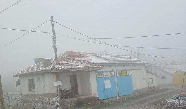 Eskişehir’de sis ve don olayı etkili oldu
