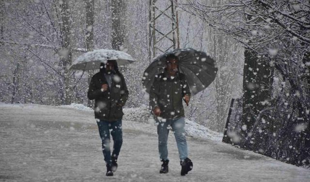 Şırnak’ta lapa lapa kar yağmaya başladı