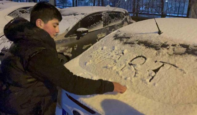 Tatvan’da kar yağışı etkili oldu