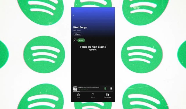 Spotify 2024'te Filtreler Nasıl Kapatılır