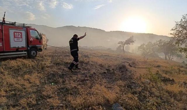 İzmir'de Kabus Gibi Bir Gün: Yangınlar Evleri ve Otobanı Tehdit Ediyor!