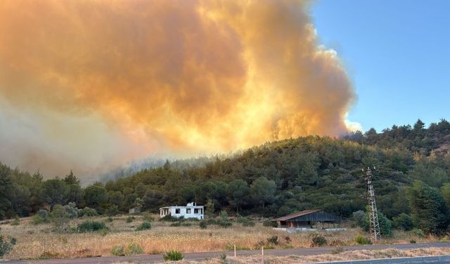 İzmir Dikili'de Korkulu Saatler Yangın Yerleşim Yerlerine Sıçradı, Tahliye Alarmı!