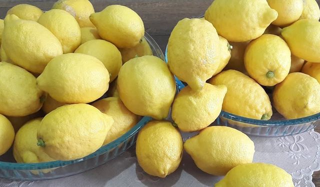 Limonlarınızı 6 Ay Boyunca Taze Tutmanın Sırrı: Oda Sıcaklığında Saklama Yöntemi