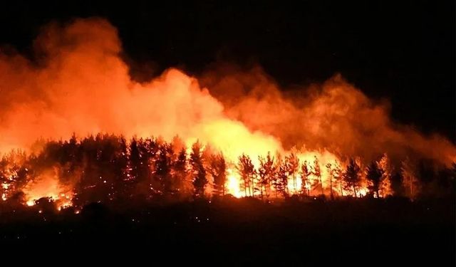 Bodrum'da Alevler Durmuyor: 12 Helikopter, 10 Uçak, 305 Personel ile Yangına Müdahale Devam Ediyor