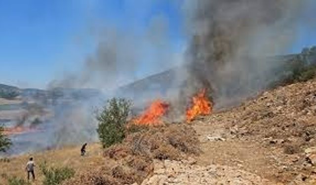 Osmaniye Kadirli'deki Orman Yangını Kontrol Altına Alındı: Hızlı Müdahale ve Soğutma Çalışmaları devam ediyor