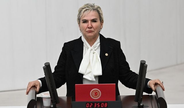 İYİ Parti İstanbul Milletvekili Nimet Özdemir neden İstifa etti? İYİ Parti'nin Meclis'teki sandalye sayısı kaça düştü?