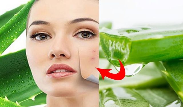 Aloe Vera Mucizesi: Cildinizi Baştan Aşağıya Değiştirin! Evde Eczaneniz: Aloe Vera Jelinin Birçok Faydası