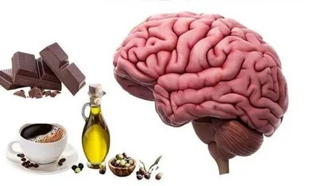 Beyin Küçülmesi Belirtileri Neler? Unutkanlık ve Dikkat Eksikliği Tehlike Sinyali mi?