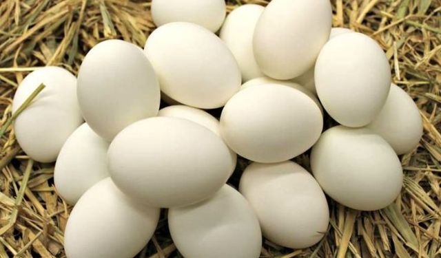 Rüyada Beyaz Yumurta Görmek Size Ne Mesaj Veriyor? Şans Kapınızı mı Çalıyor?