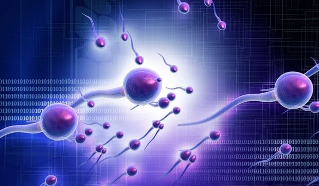 Rüyada Sperm Görmek Ne Anlama Gelir? Şaşırtıcı Yorumlar Nelerdir?