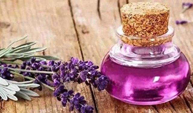 Lavanta Yağı Gerçekten Mucize Mi? Bilimsel Olarak Kanıtlanmış Faydaları Nelerdir?